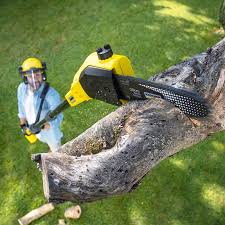 Best Lawn Maintenance Plans  in Branson, MO